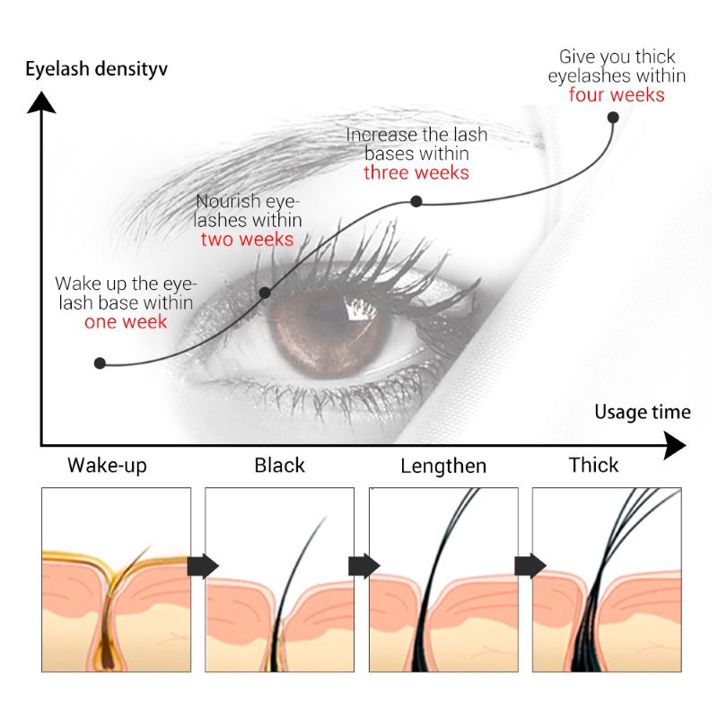 Các yếu tố ảnh hưởng đến thời gian dưỡng mi