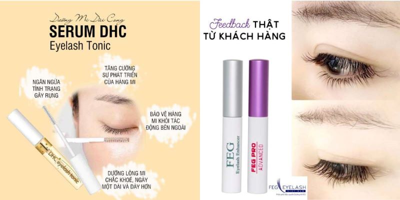 Giới thiệu về FEG và DHC